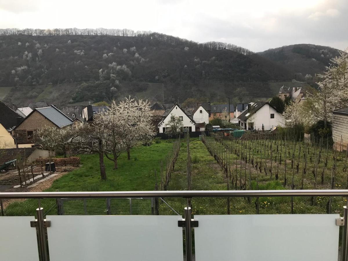 Ferienwohnung " Wein Unter Palmen " Neumagen-Dhron Exterior photo